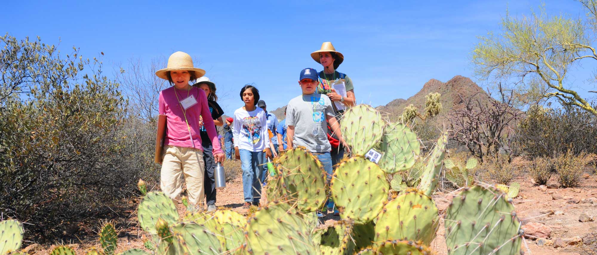 4th grade programs at Cooper Center