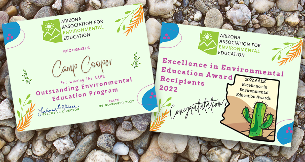 AAEE Award Graphic