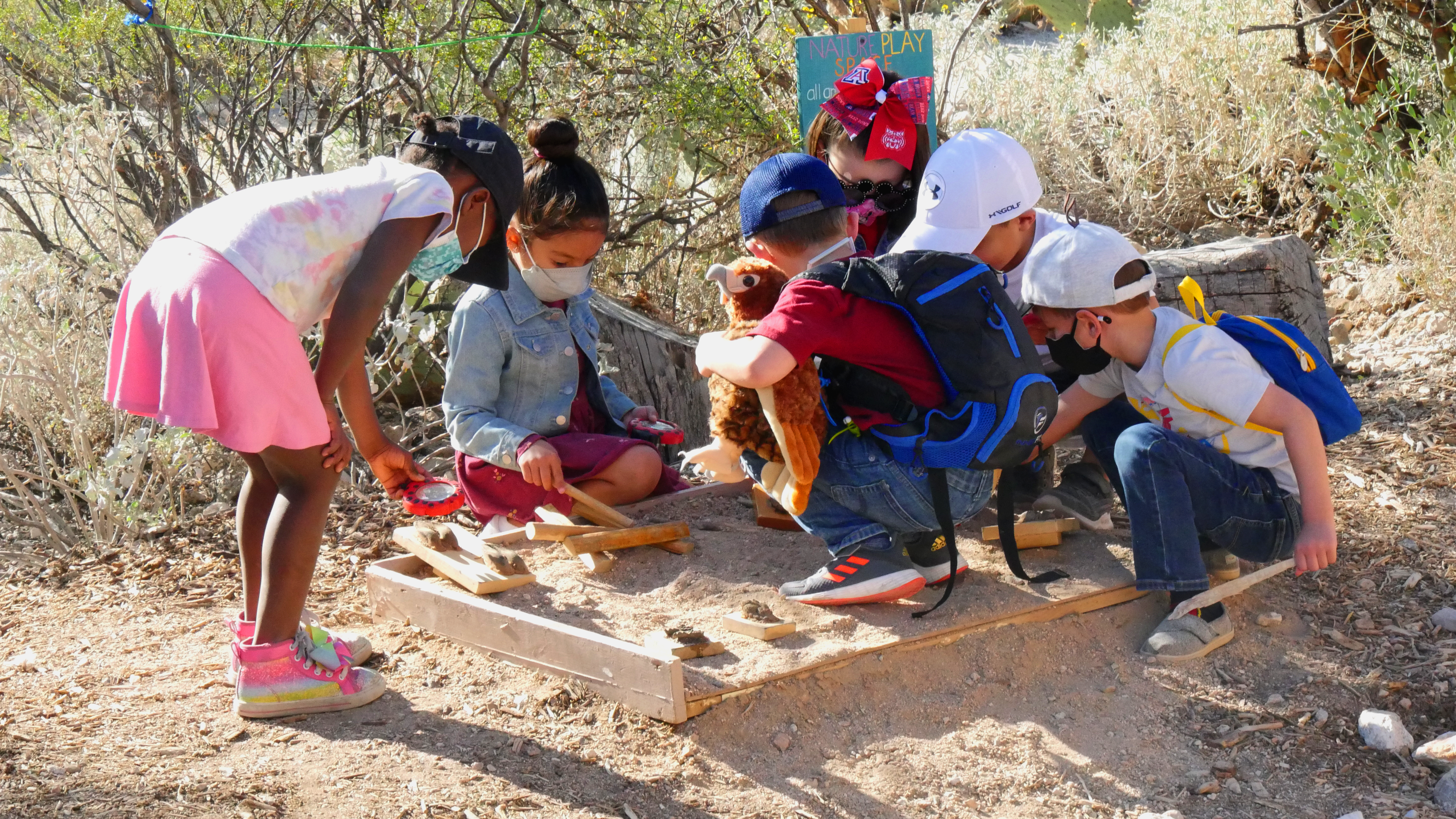 Saguaro Buds Program