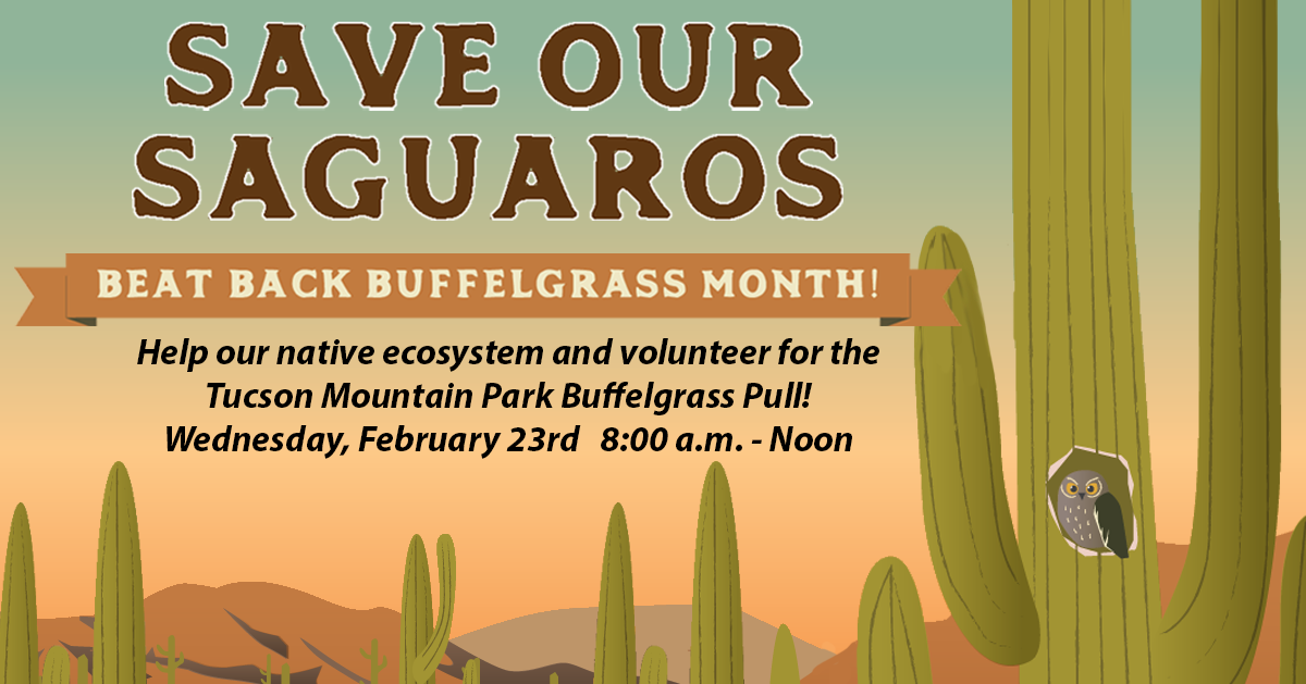 Save Our Saguaros Social Media Graphic