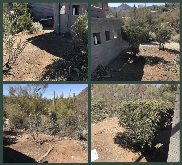 Photo montage of the Demonstration Garden