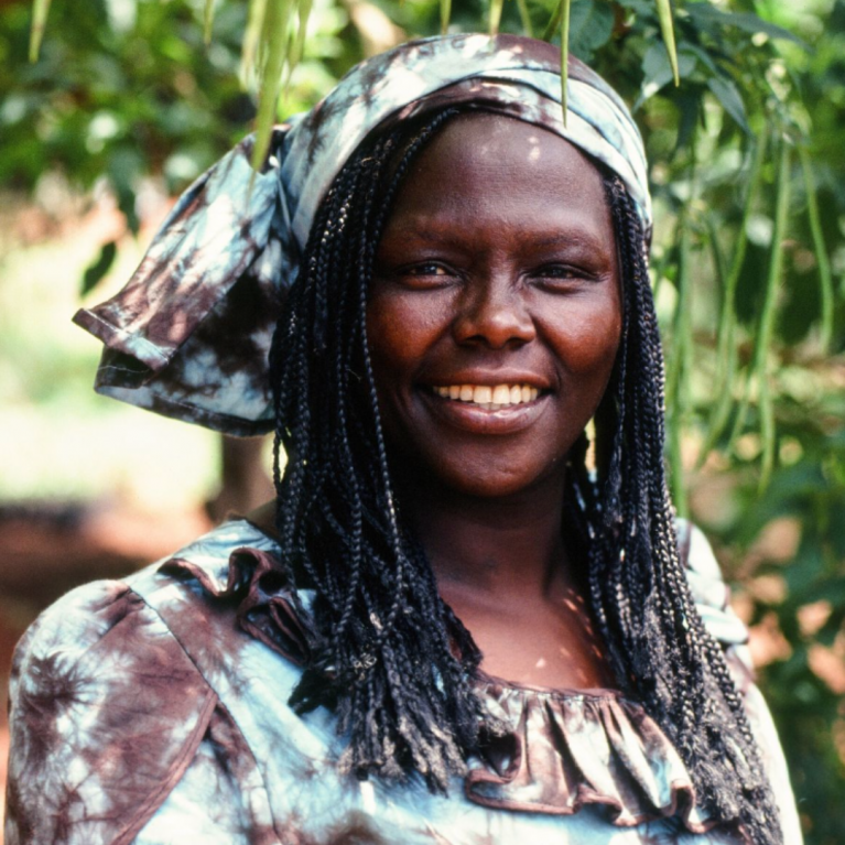 wangari maathai headshot, greenery in the background