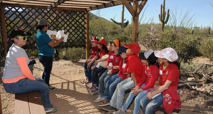 Photo of children learning in the desert.